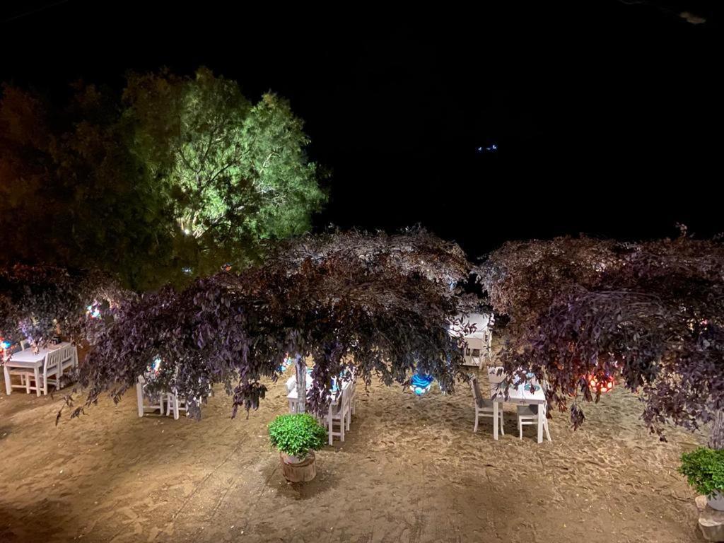 Arriba Pension & Restaurant Gümüşlük Buitenkant foto