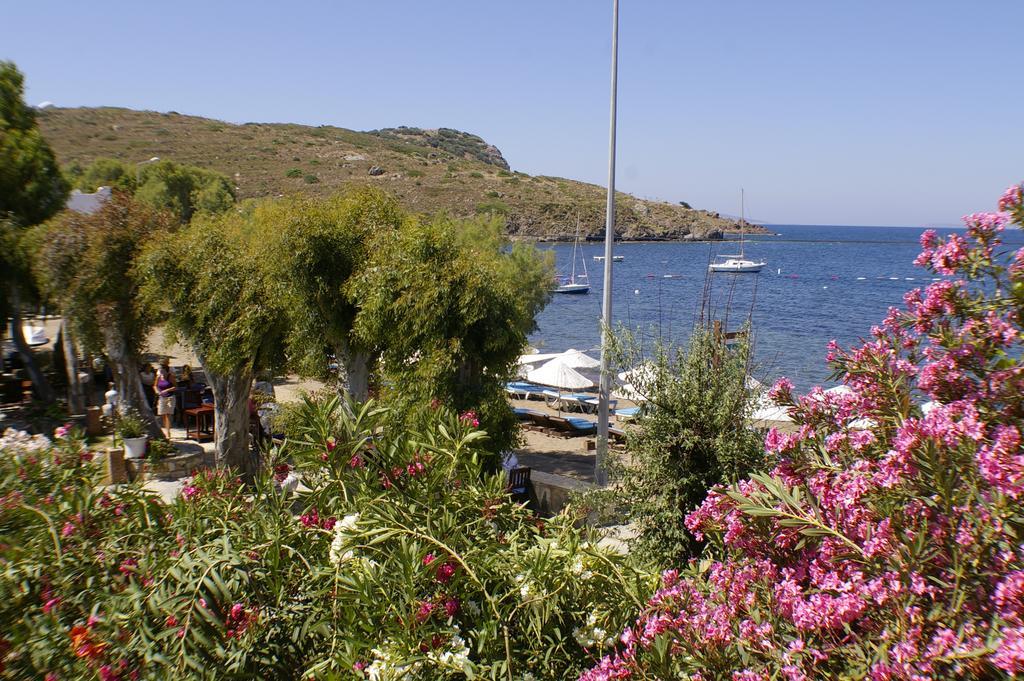 Arriba Pension & Restaurant Gümüşlük Buitenkant foto